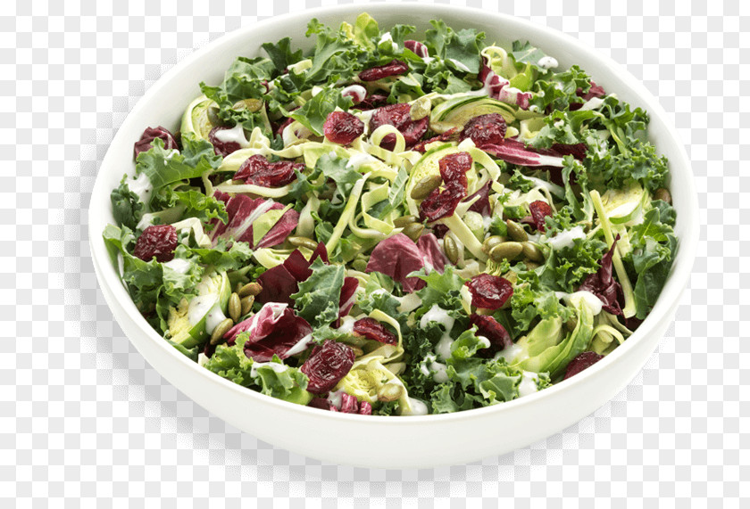 Kale Greek Salad Spinach Waldorf Vegetarian Cuisine PNG