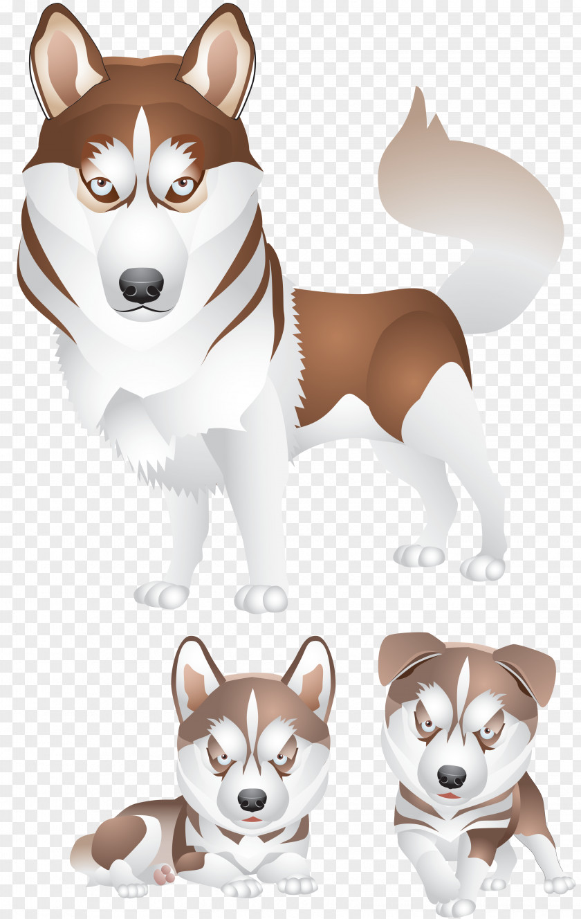 Puppy Clipart Siberian Husky PNG