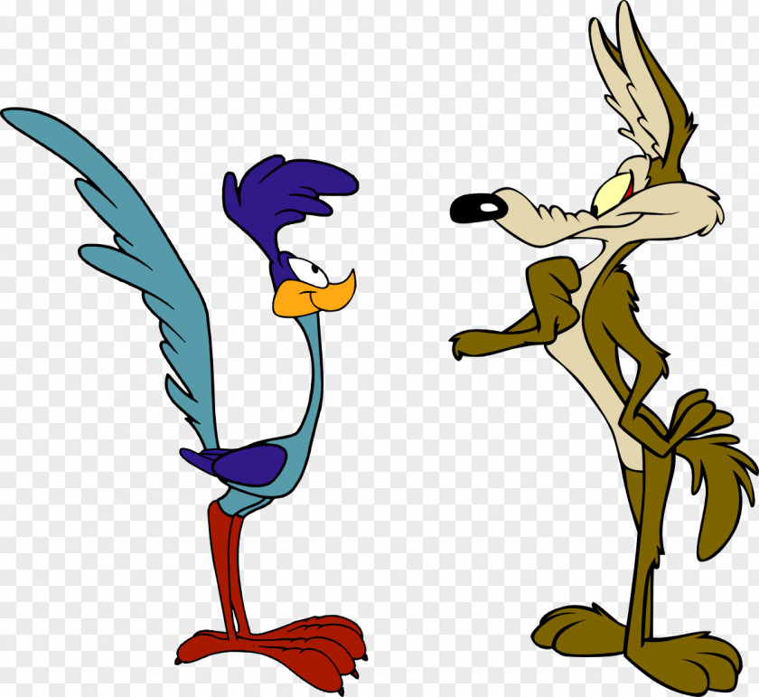 Runner Wile E. Coyote And The Road Looney Tunes Cartoon PNG