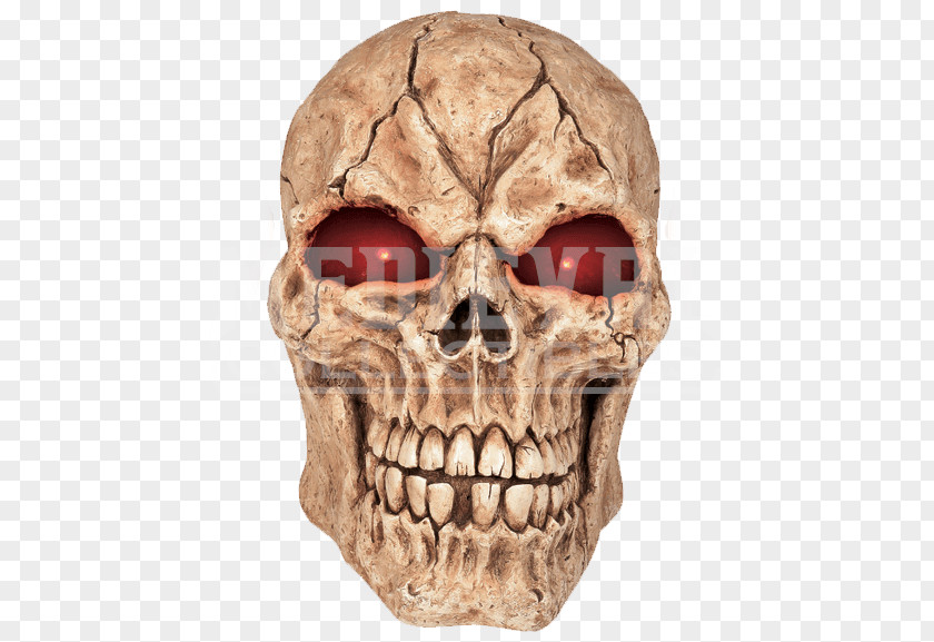 Skull Human Skeleton Haunted House Eye PNG