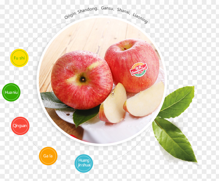 Apple Qixia, Shandong Organic Food Fuji PNG
