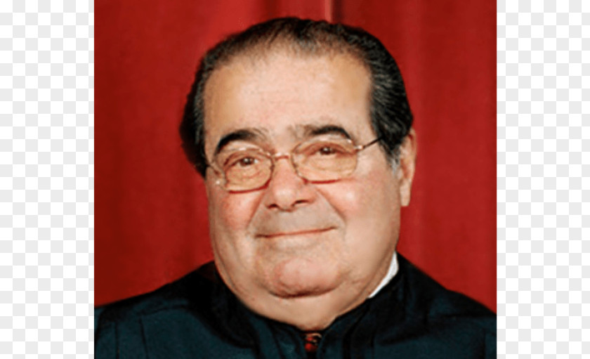 Lawyer Antonin Scalia Supreme Court Of The United States FCC V. Fox Television Stations, Inc. Judge PNG