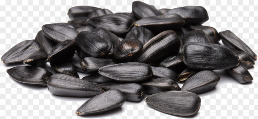Nuts Sunflower Seed PNG