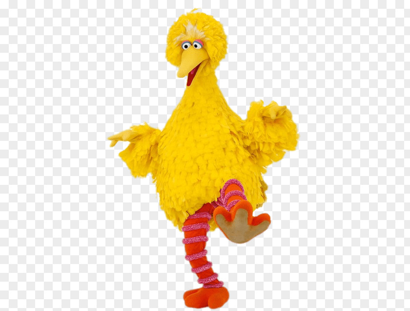 Sesame Big Bird Mr. Snuffleupagus Bert Count Von Street PNG