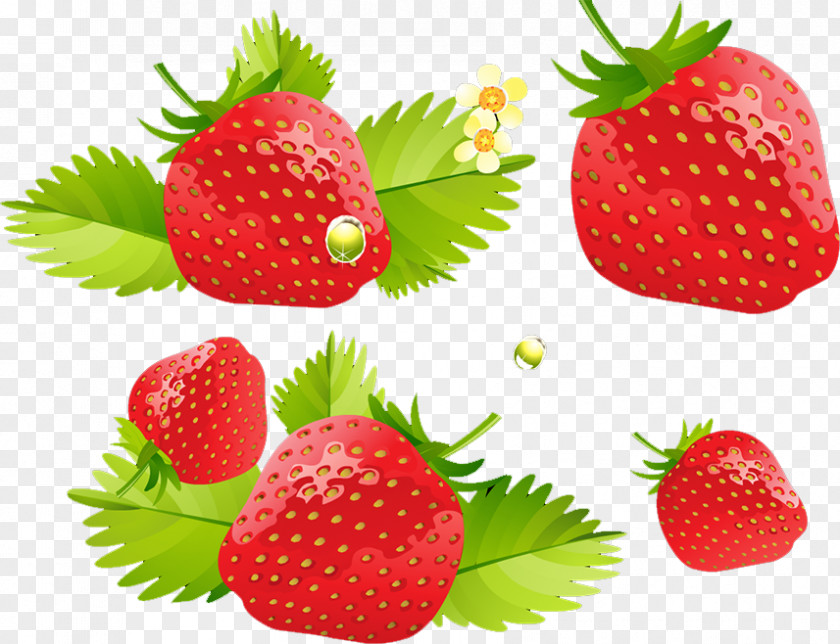 Strawberry Cream Cake Ice Cheesecake Fruit Salad PNG