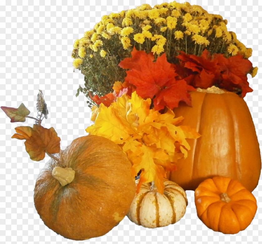 Thanks Giving Pumpkin Thanksgiving Dinner Clip Art PNG