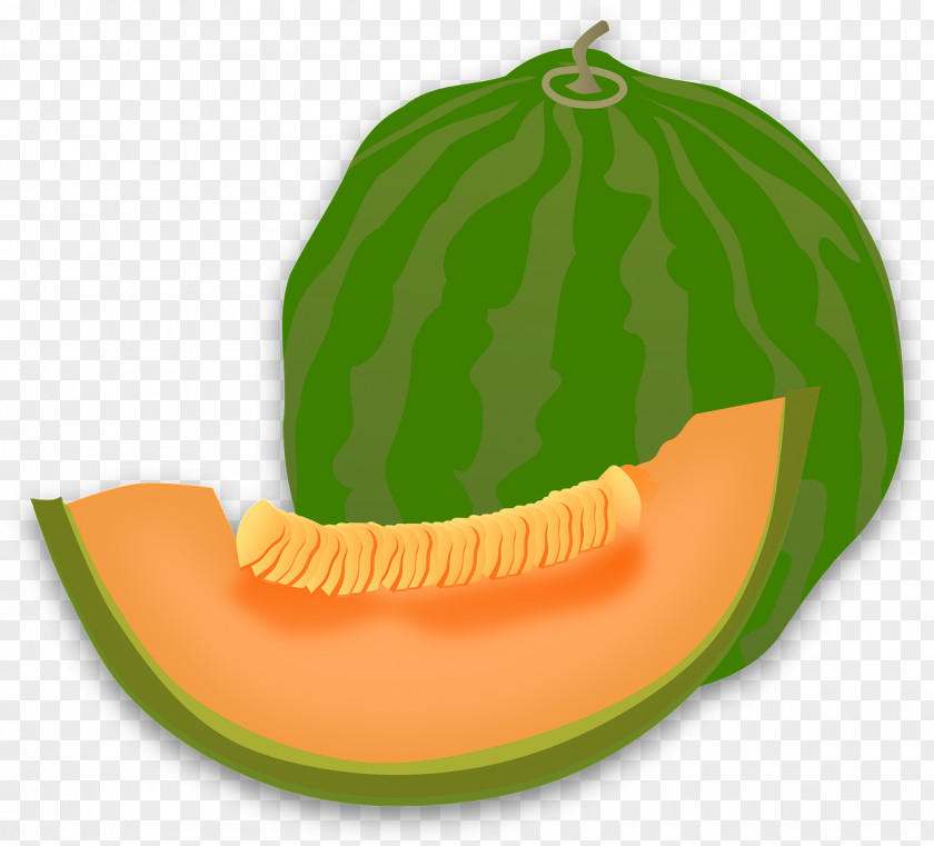 Yellow Melon Honeydew Cantaloupe Canary Clip Art PNG