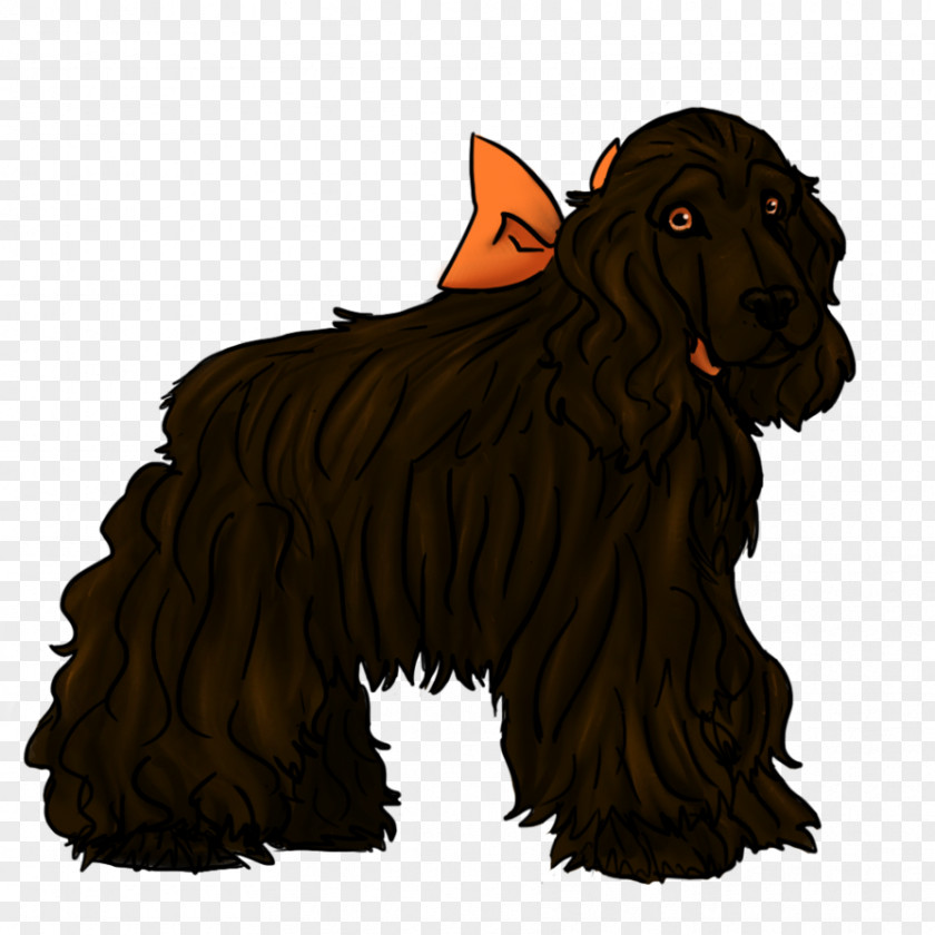 Boykin Spaniel Field Dog Breed Snout PNG