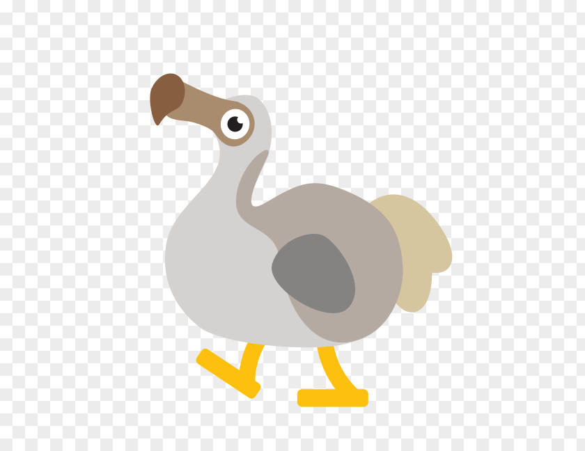 Duck Flightless Bird Clip Art PNG