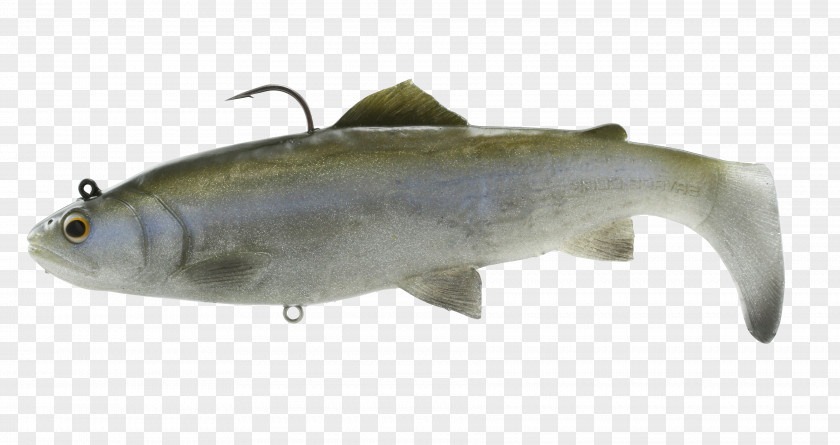Fishing Plug Sardine Swimbait Baits & Lures Rainbow Trout PNG