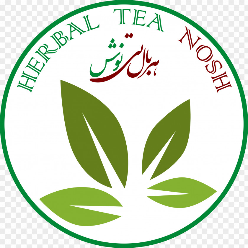 Herb Tea University Master's Degree Education College Organization PNG