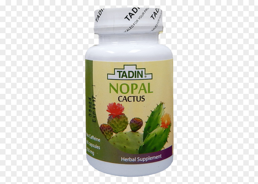 Tea Herbal Nopal Tadin Herb & Co. PNG