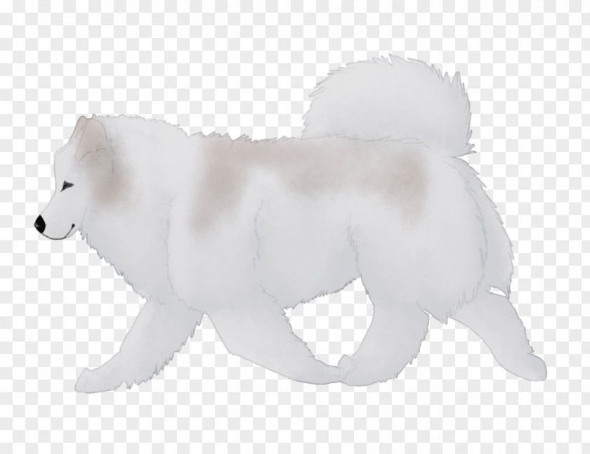 Arctic Fox Samoyed Dog Breed Fur PNG