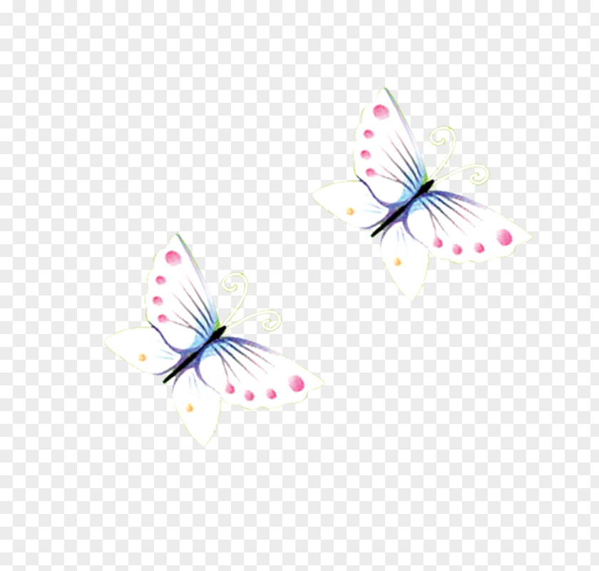 Butterfly Petal Computer Wallpaper PNG