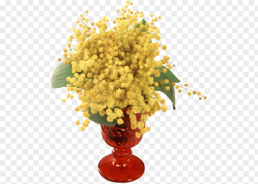 Flower Mimosa Salad Art Painting Clip PNG