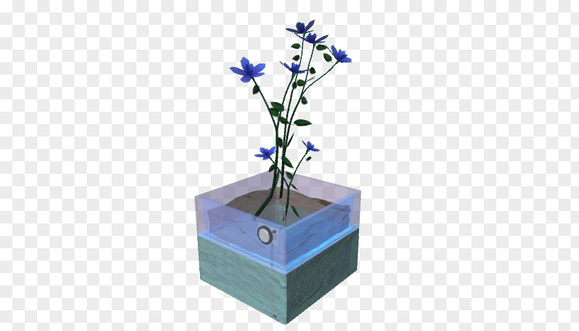 Forgetmenot Cobalt Blue Flowerpot PNG