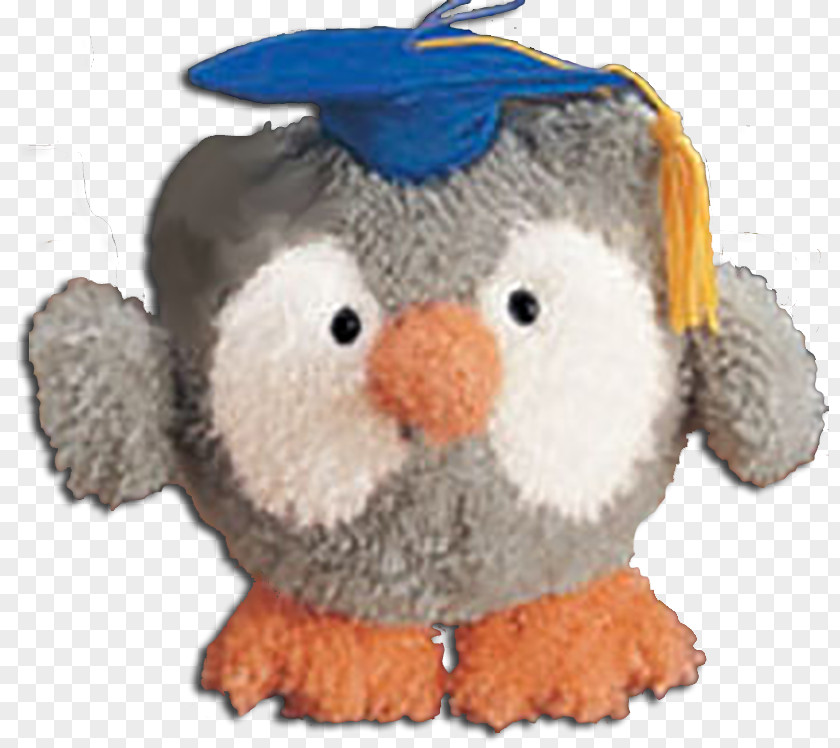 Owl Graduation Stuffed Animals & Cuddly Toys Bird Beak Ceremony PNG