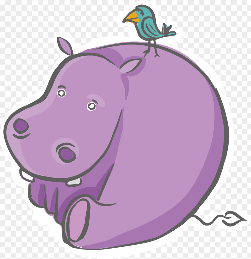 Cartoon Hippo Vector Domestic Pig Hippopotamus Illustration PNG