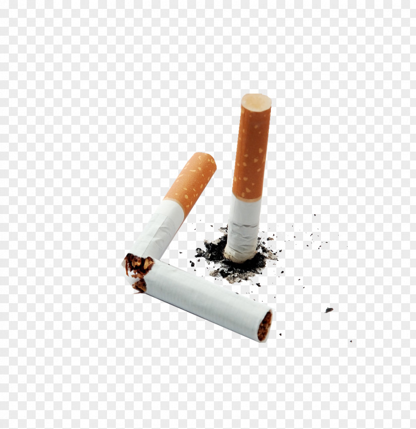 Cigarette Butts Tobacco Pipe Icon PNG