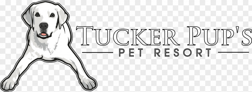 Dog Breed Daycare Grooming Tucker Pup's Pet Resort PNG
