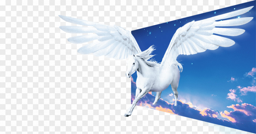 Pegasus Fantasy Flight The Interpretation Of Dreams By Duke Zhou PNG