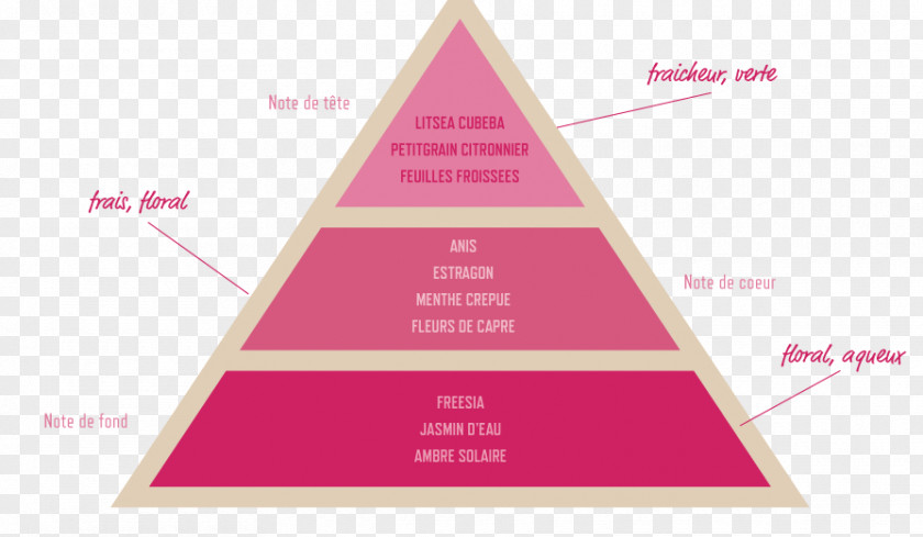 Perfume Grasse Perfumer Olfaction Triangle PNG
