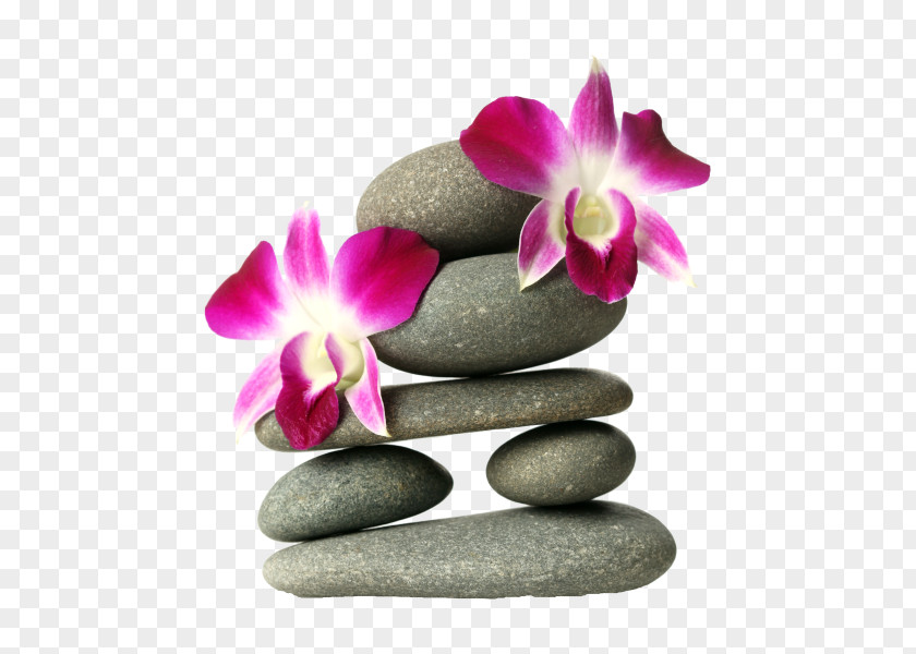 Zen Orchids Stock Photography Sticker Pebble PNG
