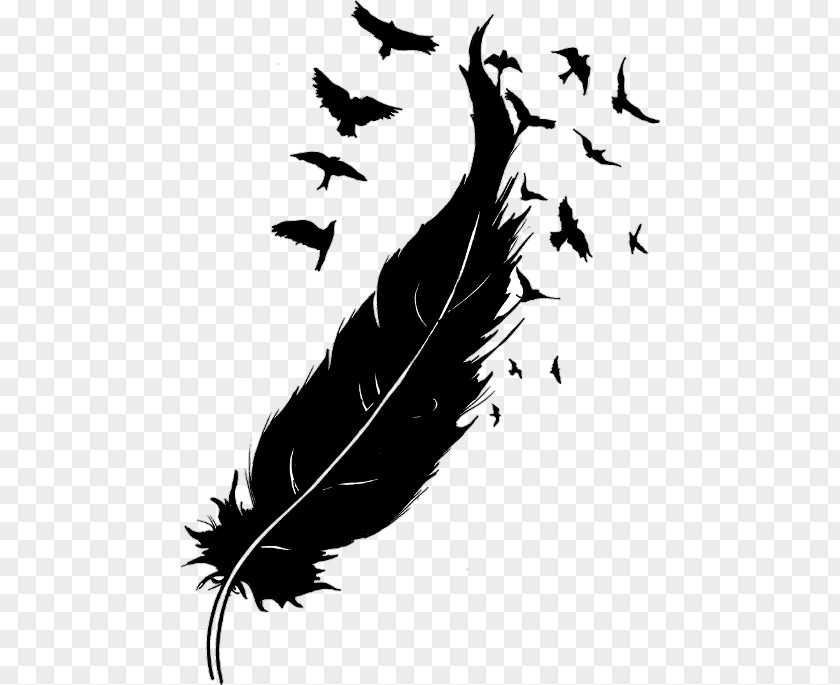 Bird Goose Feather Drawing PNG