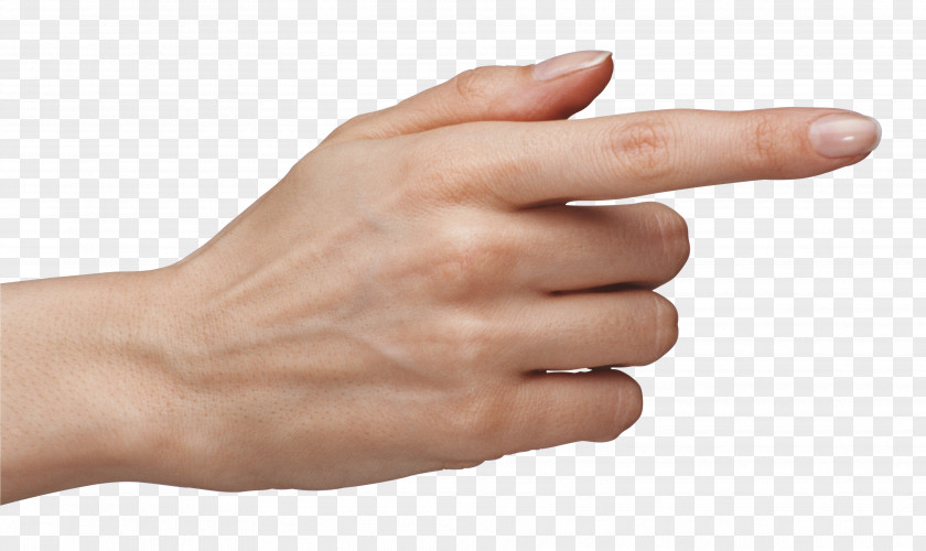 Hands Hand Finger Clip Art PNG