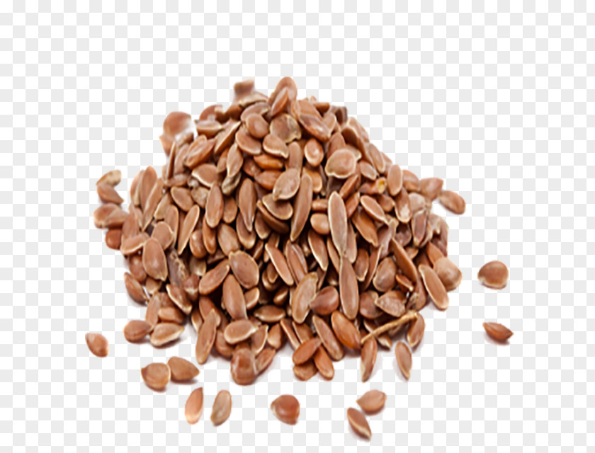 Horse Nut Seed Commodity Grain PNG