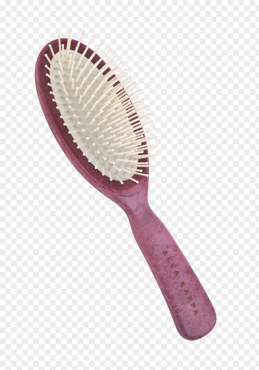 Pink Brushes Brush Association Of Chartered Certified Accountants Sales Comb PNG