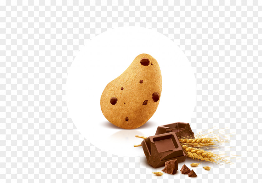 Praline Flavor PNG