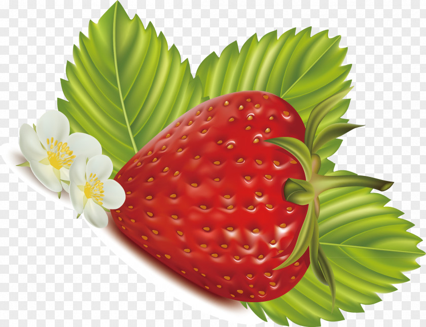 Strawberry Decorative Vector Pattern Frutti Di Bosco Euclidean Food PNG