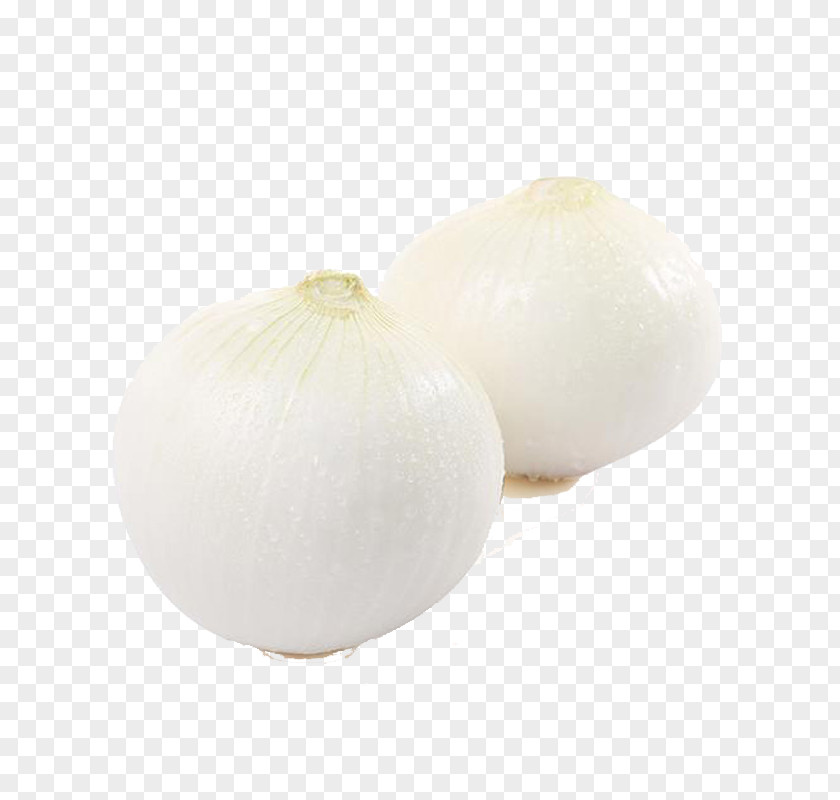 Two Onions White Onion Vegetable Download PNG