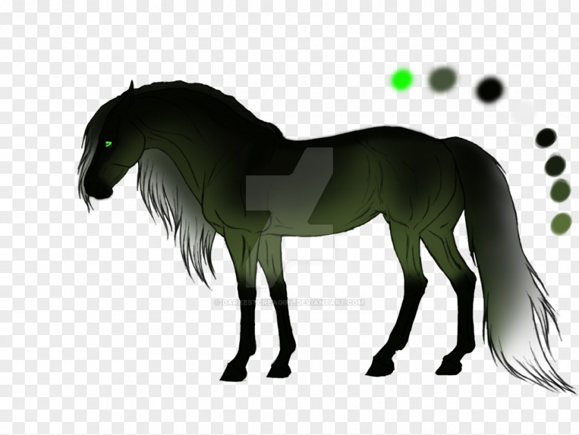 Admiral Infographic DeviantArt Mustang Stallion Foal PNG