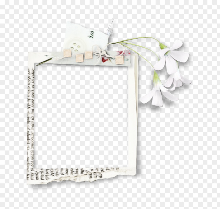 Flower Plant Background White Frame PNG