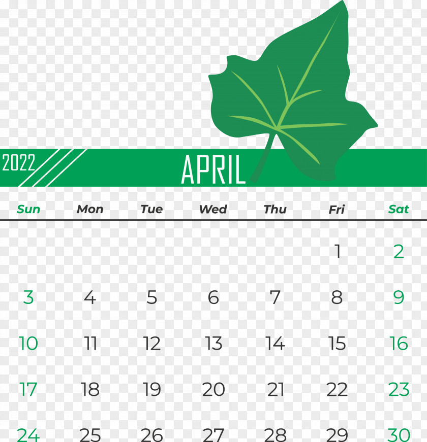 Leaf Line Font Diagram Calendar PNG