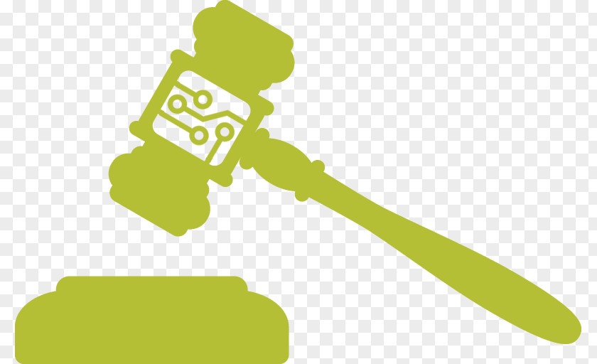 Legal Risk Judiciary Access To Justice Court Law Judicial Reform PNG