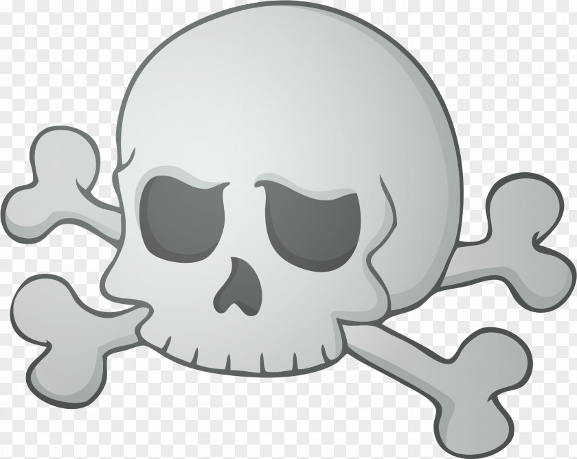 Skull Clip Art Vector Graphics Image PNG