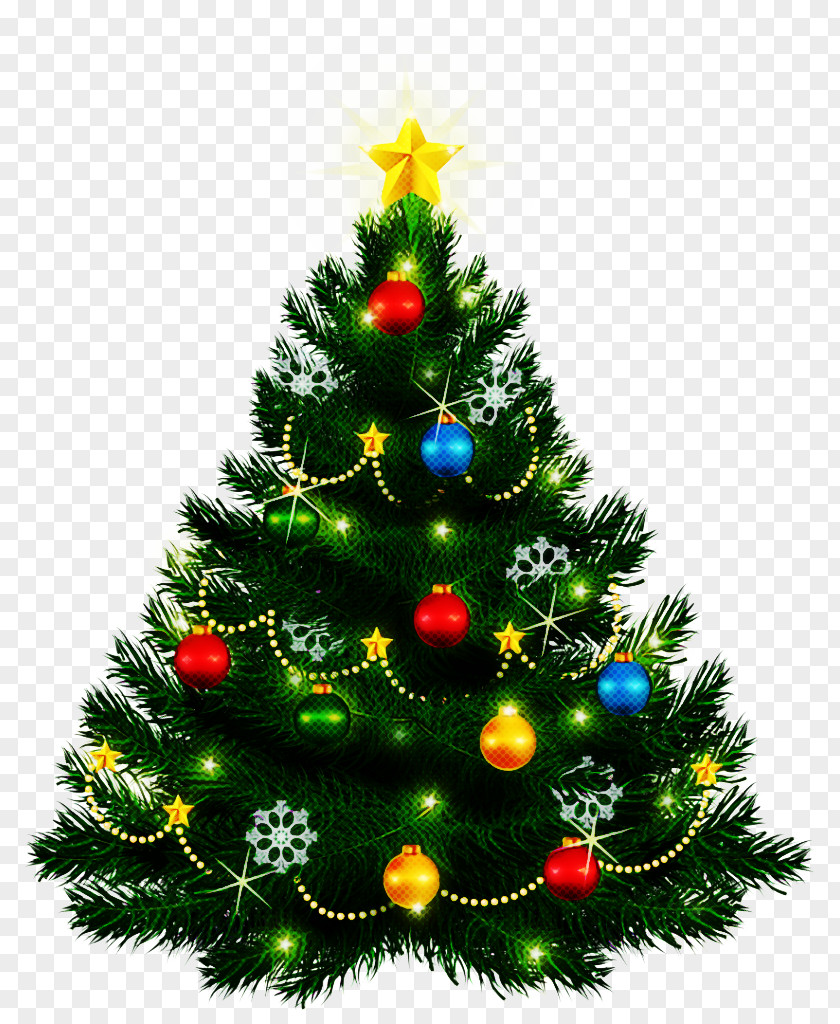 Christmas Tree PNG