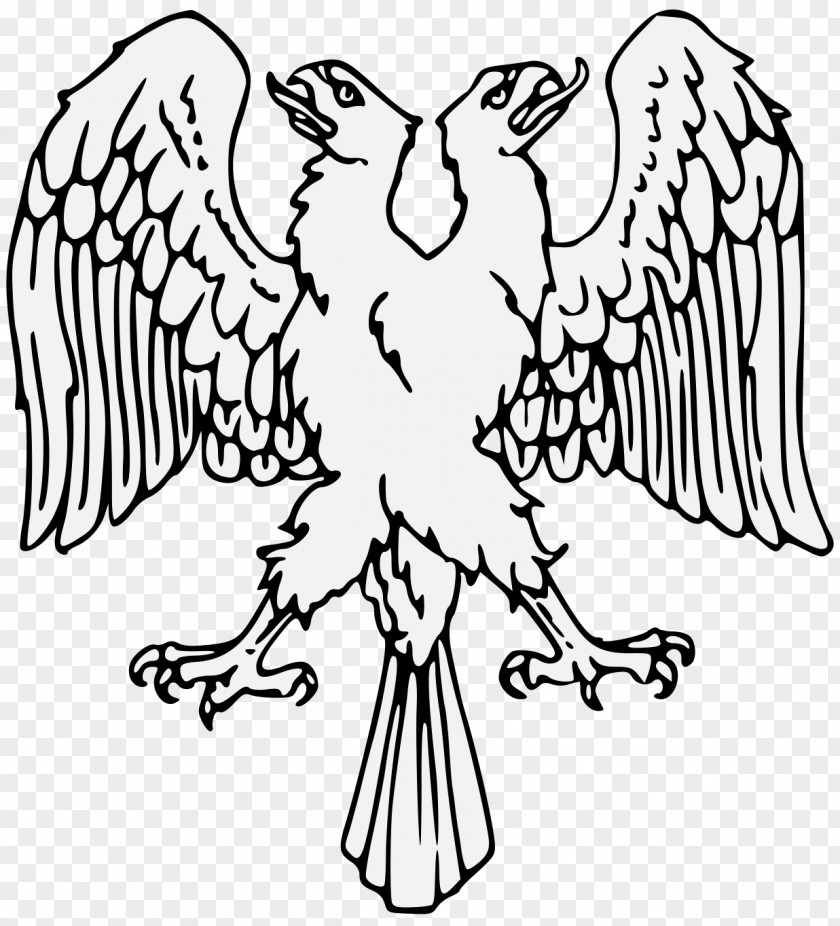 Eagle DRAWING Clip Art Heraldry Beak Roll Of Arms PNG