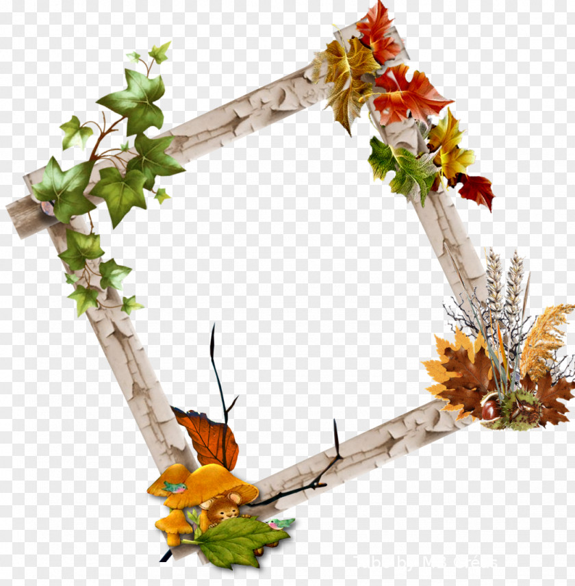 Flower Floral Design Blog Picture Frames PNG