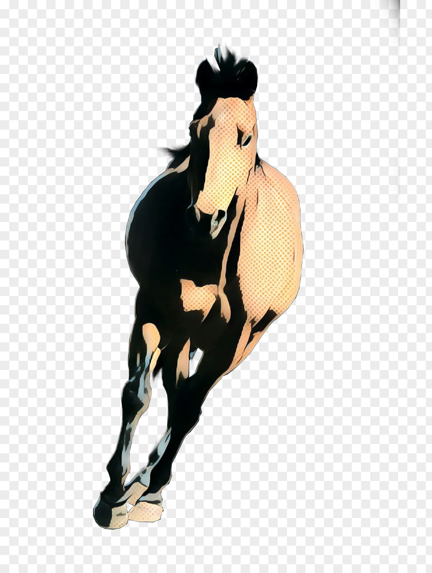 Animal Figure Mare Horse Mustang Stallion Mane Sorrel PNG