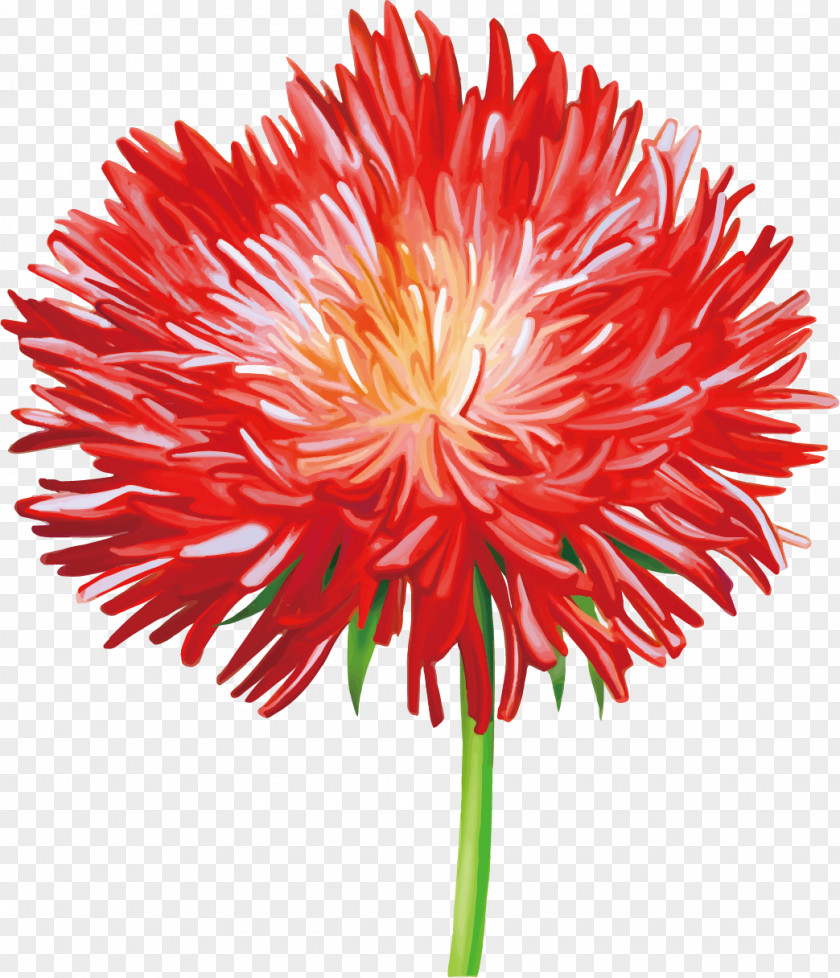 Chrysanthemum Flower Drawing Stock Photography Euclidean Vector PNG