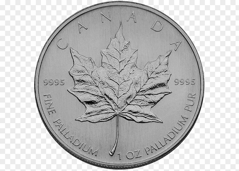 Coin Silver Leaf PNG