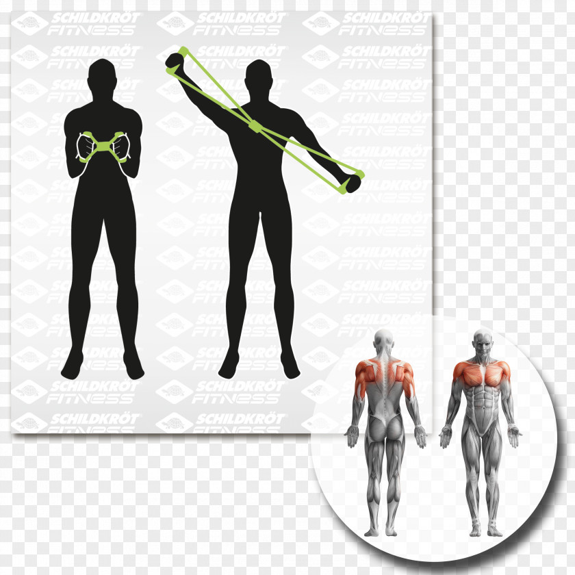 Health Myofascial Trigger Point Massage Therapy Muscle Human Body PNG