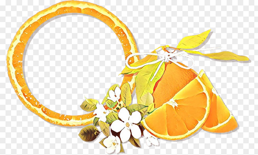Plant Fashion Accessory Orange PNG