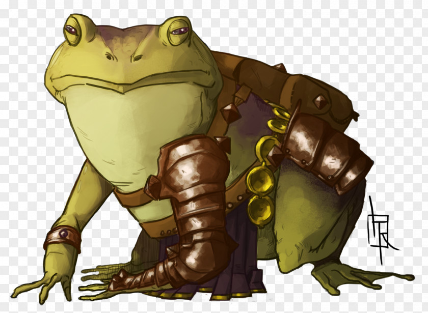 Toad True Frog Reptile Cartoon PNG