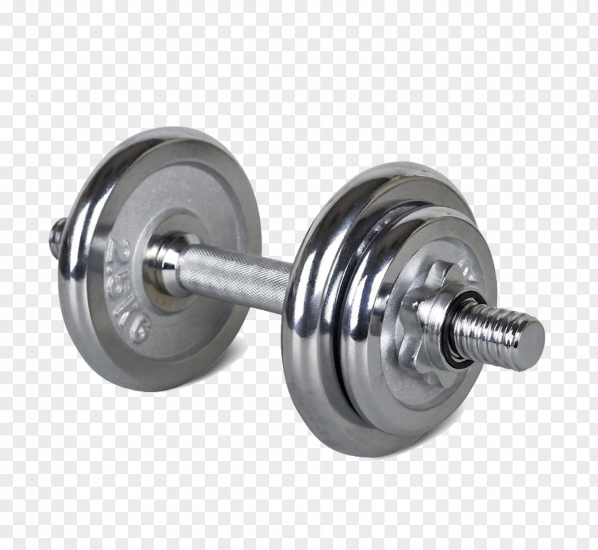 Arm Lifter Dumbbell Olympic Weightlifting Barbell Bodybuilding Physical Exercise PNG