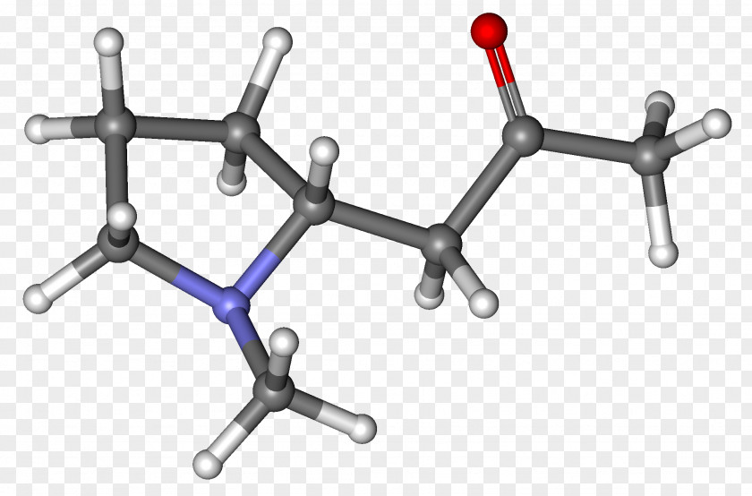 Ball-and-stick Model Hygrine Molecule Space-filling Chemical Nomenclature PNG